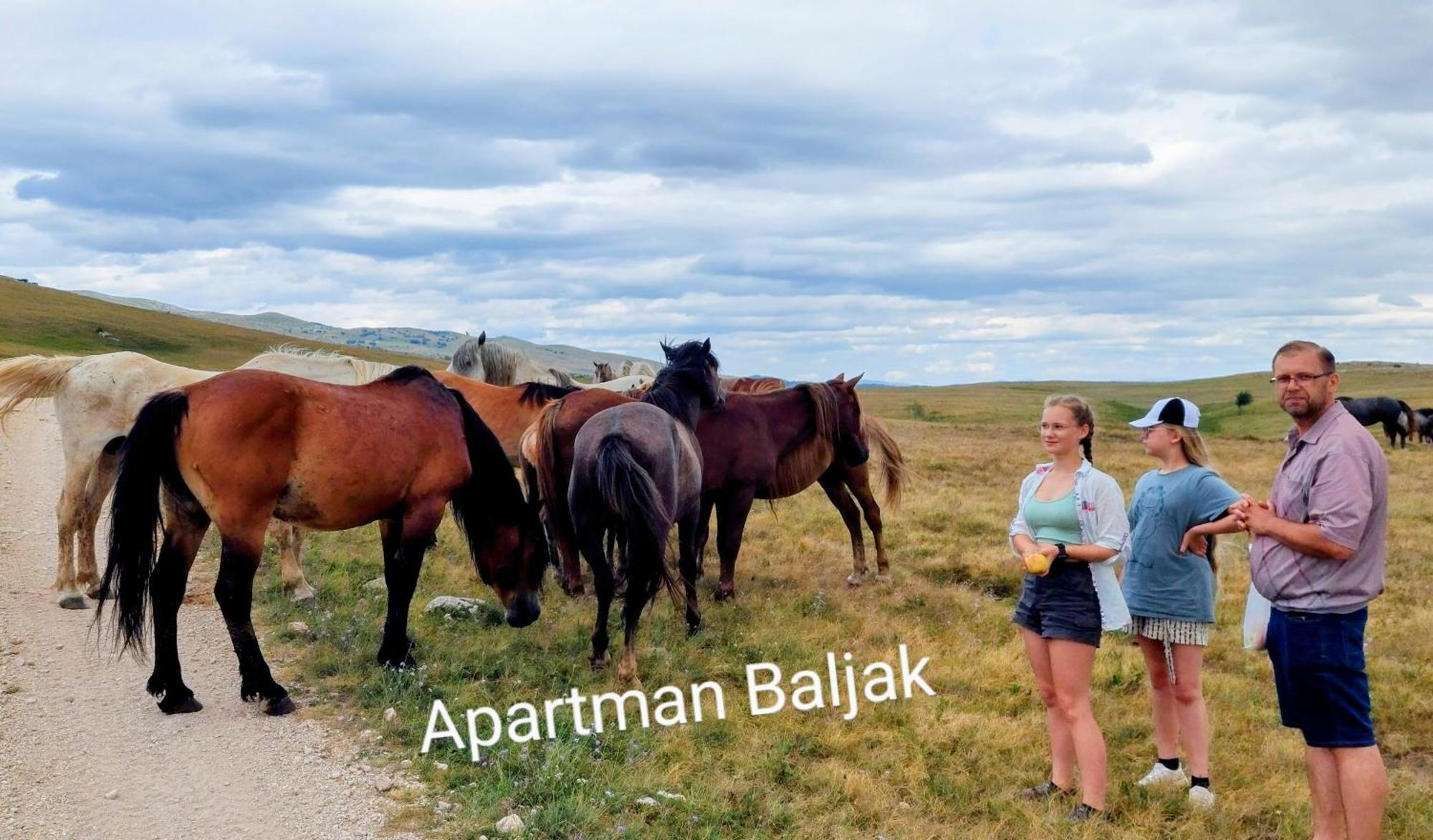 Apartman Baljak Livno Exteriör bild